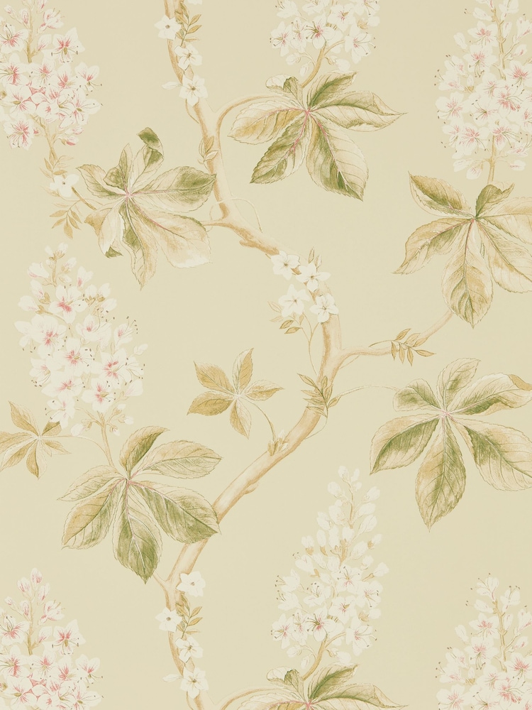 Sanderson Green Chestnut Tree A4 Wallpaper Sample - Image 1 of 1