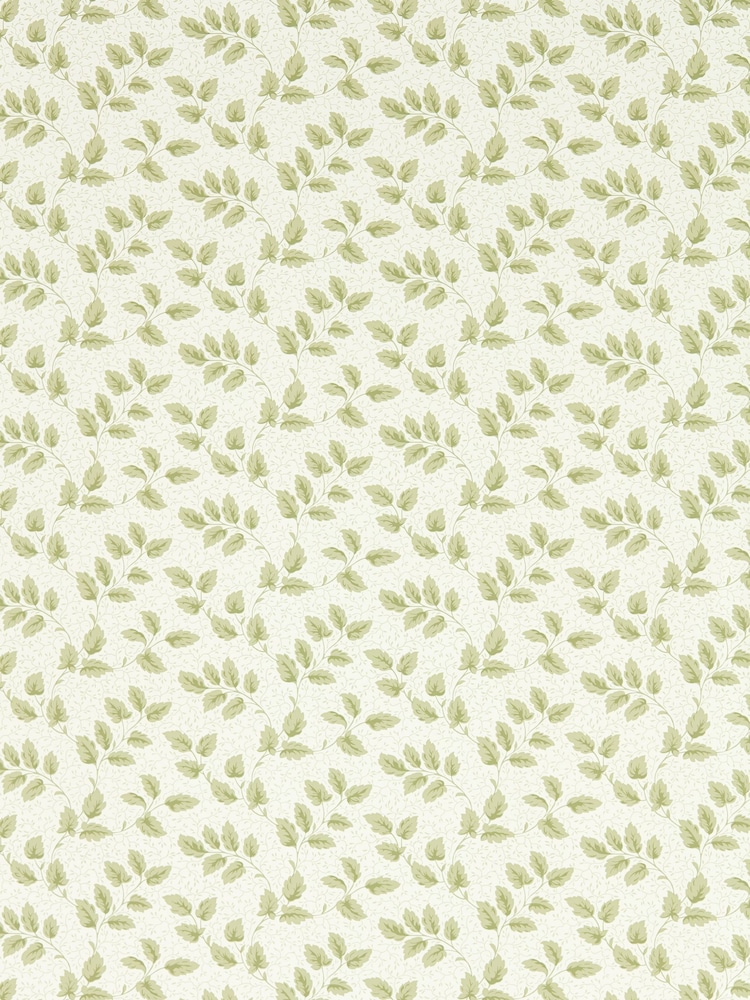 Sanderson Green Tomato Leaf A4 Wallpaper Sample - Image 1 of 1 Sanderson Green Tomato Leaf A4 Wallpaper Sample - Image 1 of 1