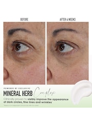 bareMinerals SKINLONGEVITY Revitalizing Eye Cream Mineral Herb Complex - Image 3 of 8