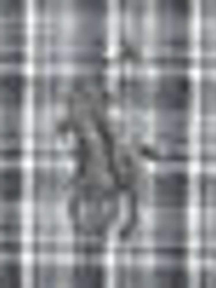 Polo Ralph Lauren Grey Heather Cubdppcs-Long Sleeve Sport Shirt - Image 8 of 8