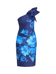 Gina Bacconi Blue Venus Printed Asymmetric Dress With Frill Sleeve - Image 6 of 6