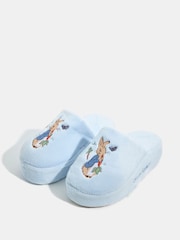 Skinnydip Peter Rabbit x Slippers - Imagem 1 de 3
