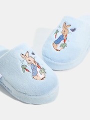 Skinnydip Peter Rabbit x Slippers - Imagem 2 de 3
