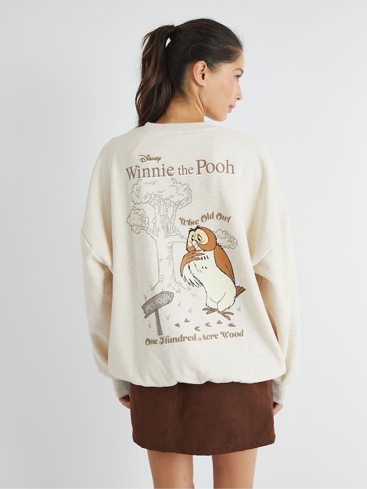 Skinnydip Brown Disney Winnie The Pooh Owl Sweatshirt - Image 2 of 3 Skinnydip Brown Disney Winnie The Pooh Owl Sweatshirt - Image 2 of 3