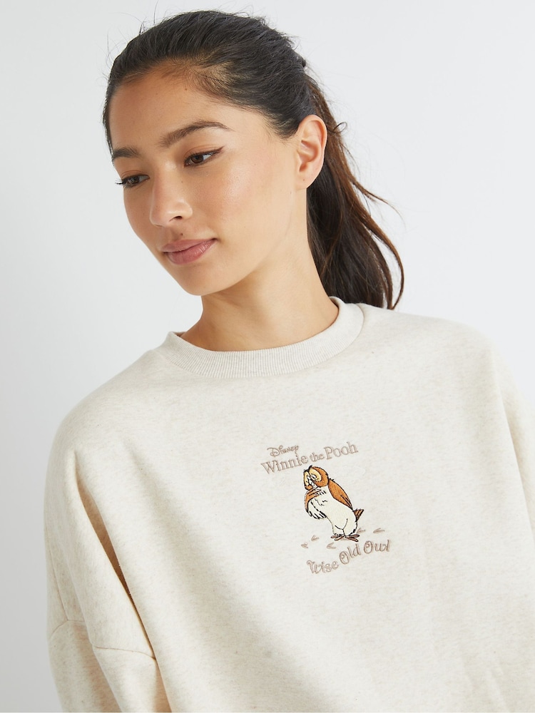 Skinnydip Brown Disney Winnie The Pooh Owl Sweatshirt - Image 3 of 3 Skinnydip Brown Disney Winnie The Pooh Owl Sweatshirt - Image 3 of 3