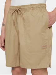 Dickies Beige Pelican T-shirts - Image 6 of 9