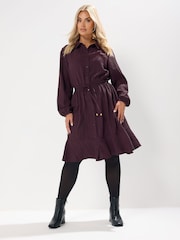 Yours Curve Red Stripe Dobby Shirt Dress - Image 5 of 6