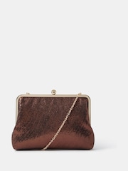 Accessorize Brown Large Metallic Clip Frame Clutch Bag - Image 1 of 1