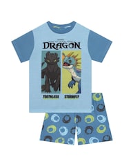 Character Blue How To Train Your Dragon Toohtless And Storm Fly Print Short Pyjamas - Image 1 of 12