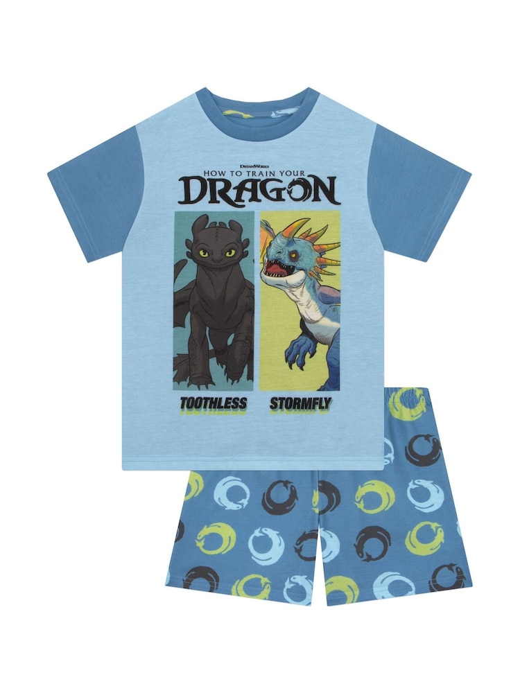 Character Blue How To Train Your Dragon Toohtless And Storm Fly Print Short Pyjamas - Image 1 of 12