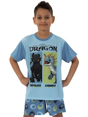 Character Blue How To Train Your Dragon Toohtless And Storm Fly Print Short Pyjamas - Image 10 of 12