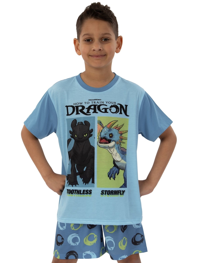 Character Blue How To Train Your Dragon Toohtless And Storm Fly Print Short Pyjamas - Image 10 of 12