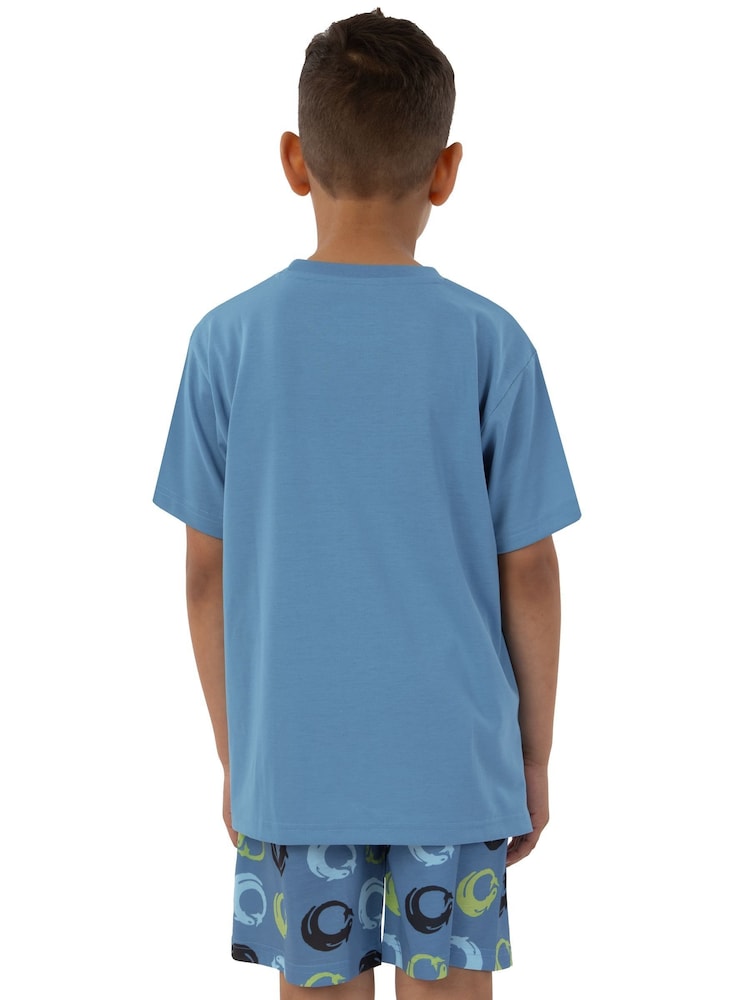 Character Blue How To Train Your Dragon Toohtless And Storm Fly Print Short Pyjamas - Image 11 of 12