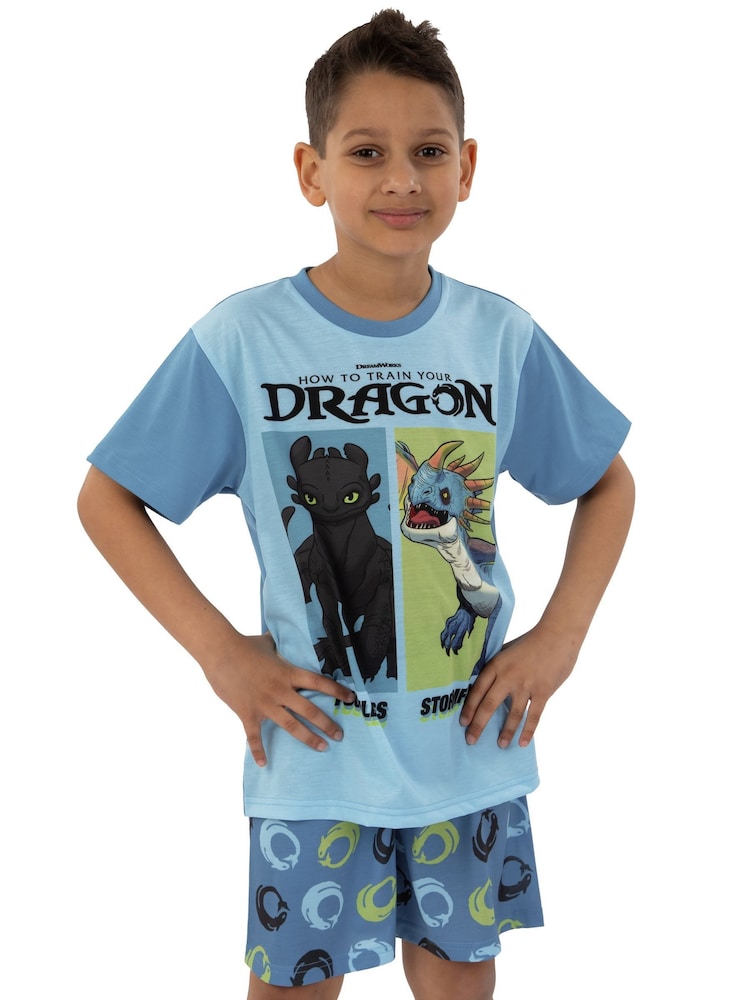 Character Blue How To Train Your Dragon Toohtless And Storm Fly Print Short Pyjamas - Image 12 of 12