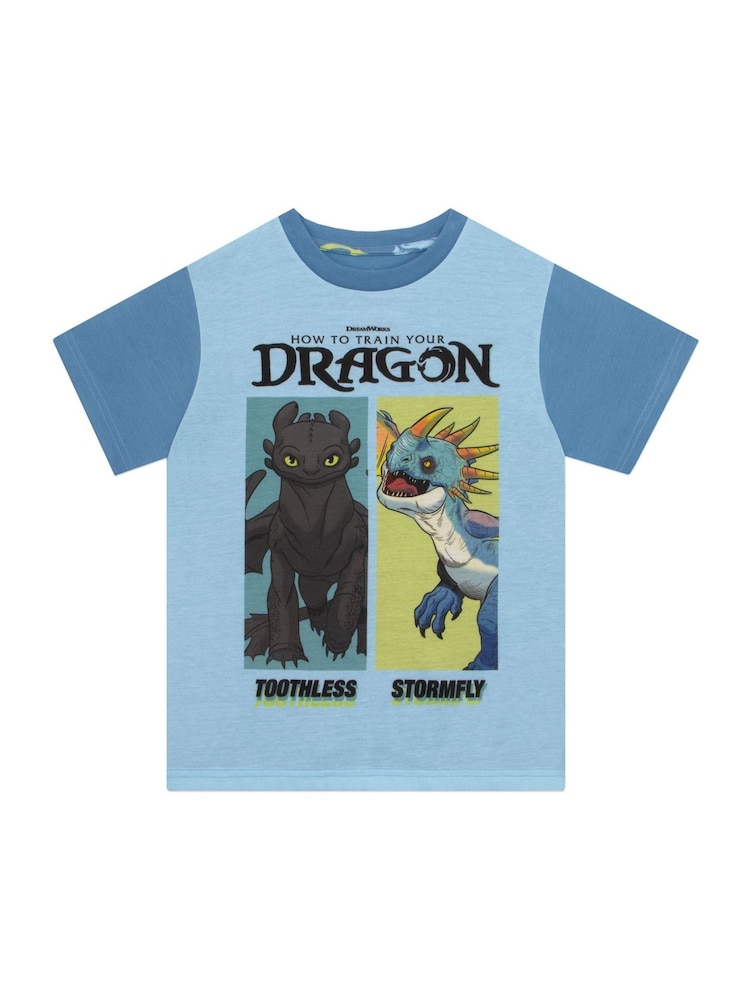 Character Blue How To Train Your Dragon Toohtless And Storm Fly Print Short Pyjamas - Image 2 of 12