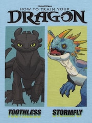 Character Blue How To Train Your Dragon Toohtless And Storm Fly Print Short Pyjamas - Image 3 of 12