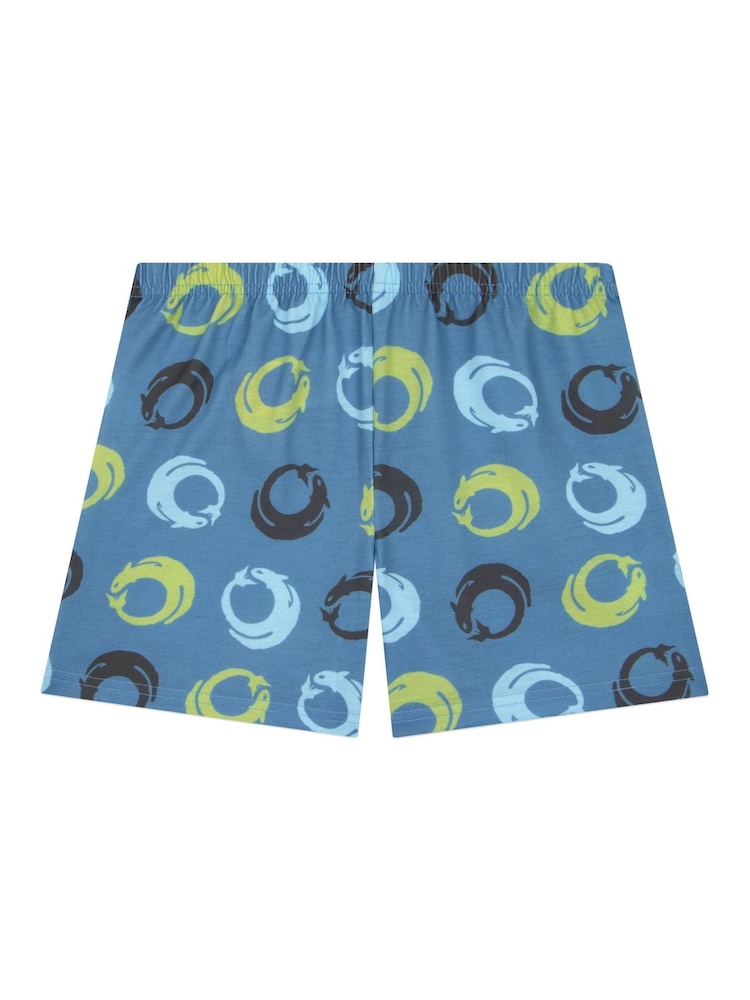 Character Blue How To Train Your Dragon Toohtless And Storm Fly Print Short Pyjamas - Image 5 of 12