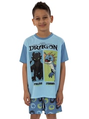 Character Blue How To Train Your Dragon Toohtless And Storm Fly Print Short Pyjamas - Image 7 of 12
