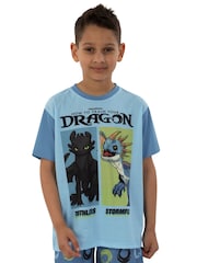 Character Blue How To Train Your Dragon Toohtless And Storm Fly Print Short Pyjamas - Image 8 of 12