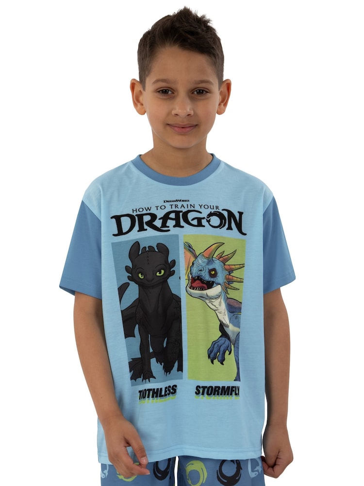 Character Blue How To Train Your Dragon Toohtless And Storm Fly Print Short Pyjamas - Image 8 of 12