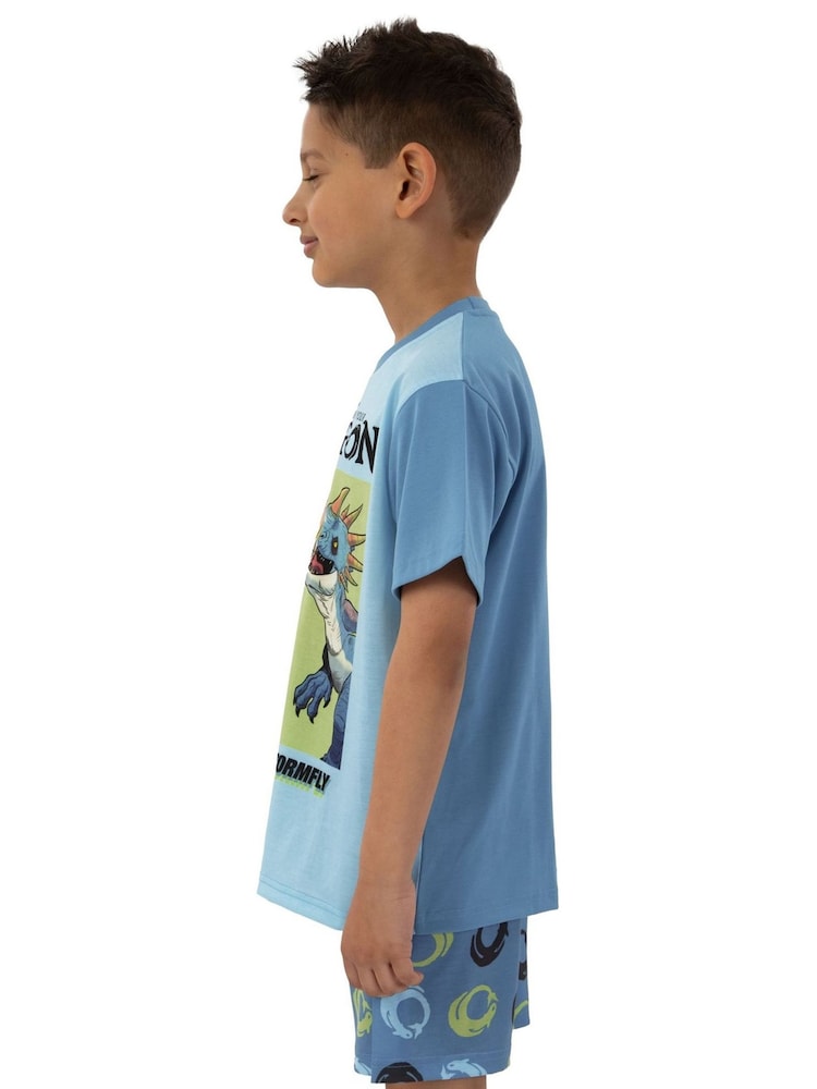 Character Blue How To Train Your Dragon Toohtless And Storm Fly Print Short Pyjamas - Image 9 of 12