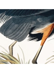 Art Marketing Multicoloured Small Vintage Heron Wall Art - Image 3 of 4