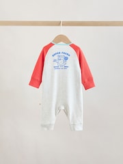 Multi Raglan Baby Sleepsuits 3 Pack (0mths-3yrs) - Image 6 of 15