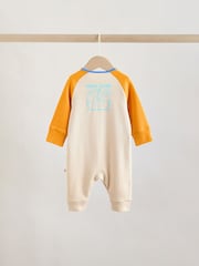Multi Raglan Baby Sleepsuits 3 Pack (0mths-3yrs) - Image 7 of 15