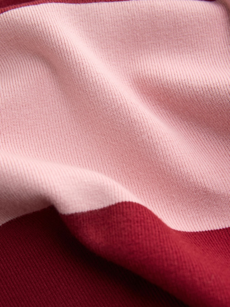 Pink/Burgundy Stripe Looney Tunes Long Sleeve Polo Jumper - Image 8 of 8