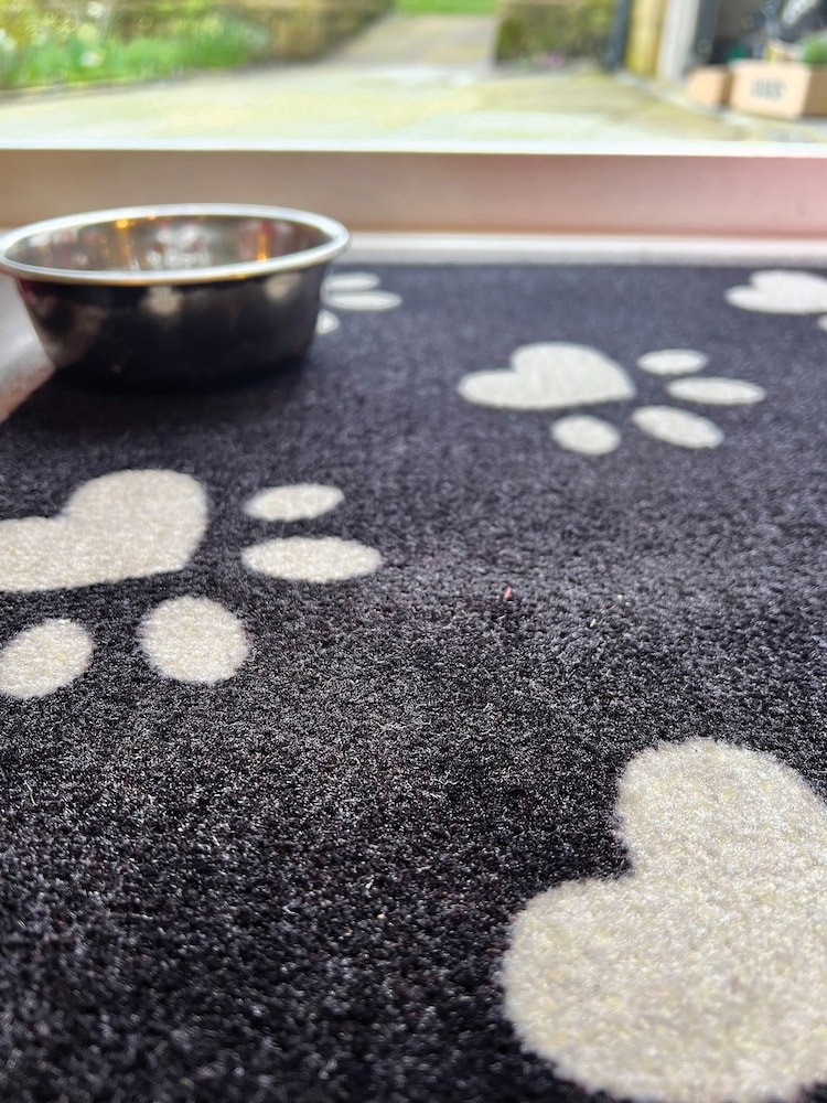 Howler & Scratch Navy Big Paw 2 Runner - Image 4 of 4