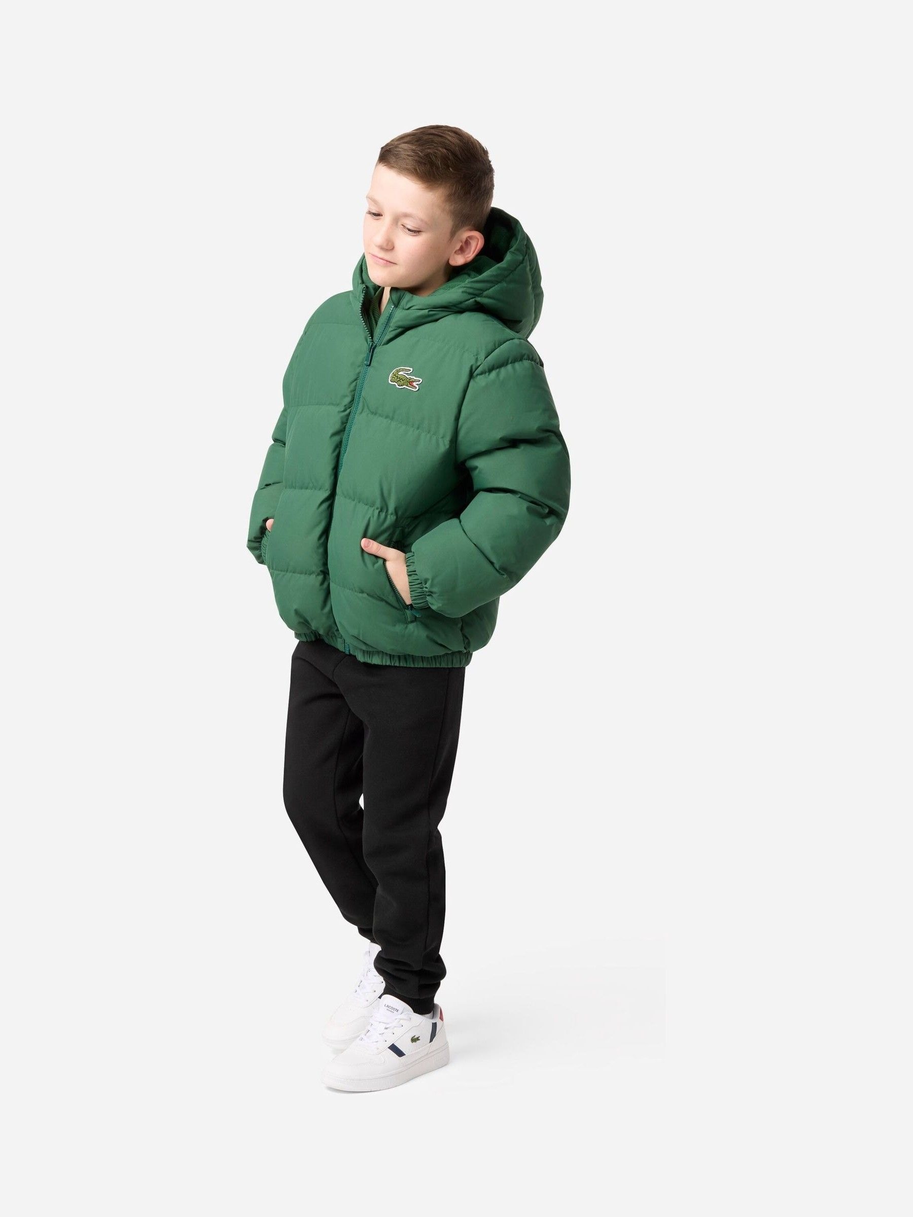 Buy Lacoste Green Core Puffer Jacket from Next USA