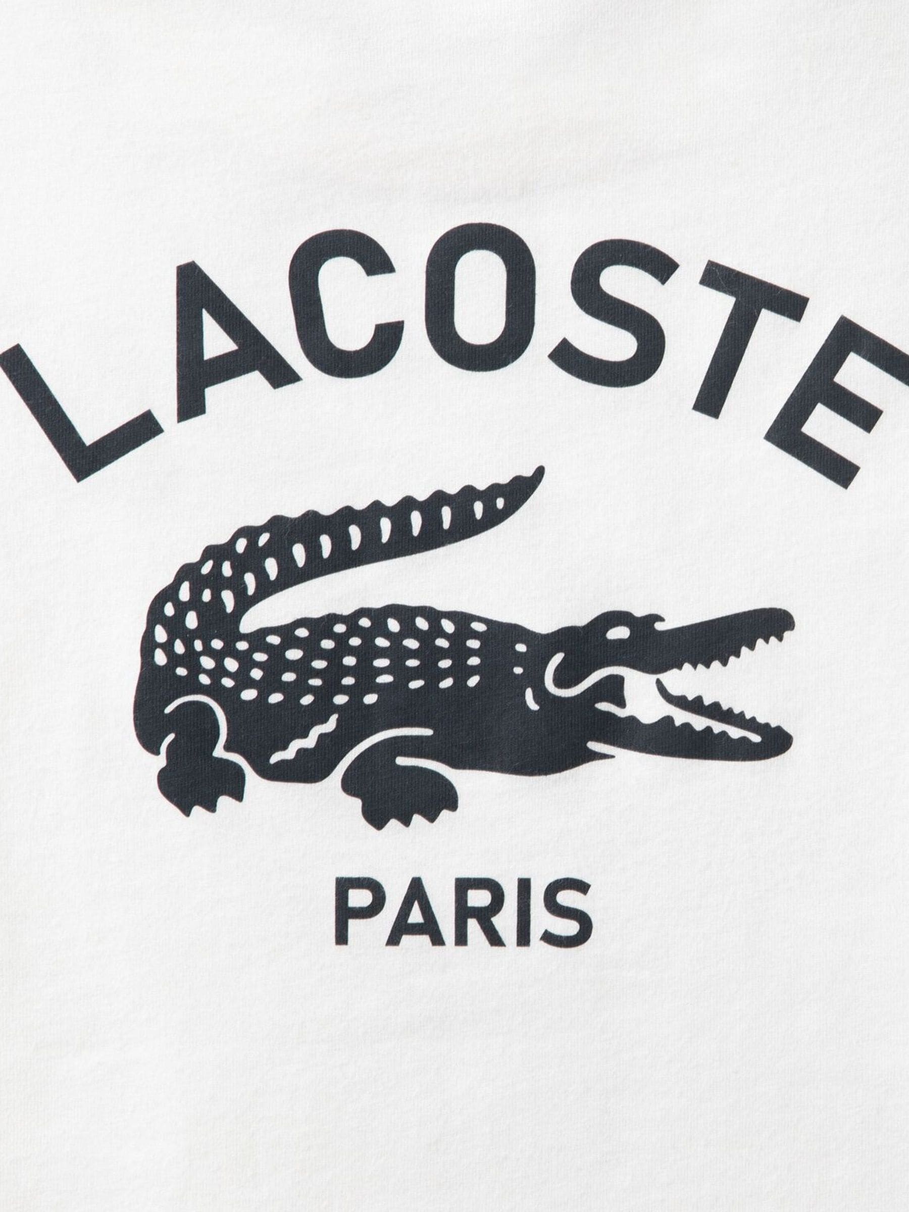 Buy Lacoste White Graphic Core Logo T-Shirt With Back Print from