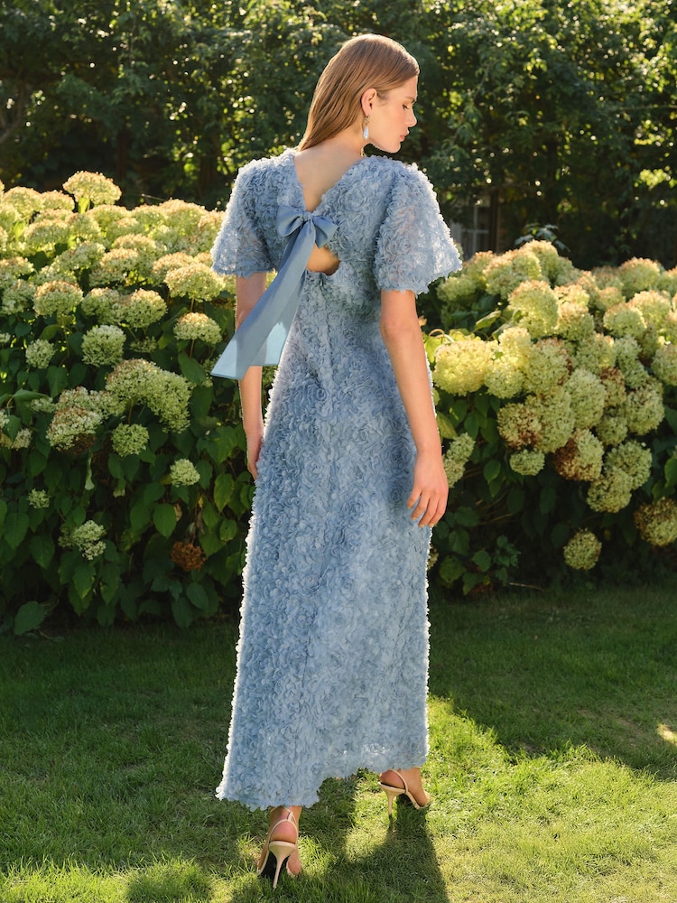 Love & Roses Pale Blue 3D Bow Back Bridesmaid Maxi Dress - Image 2 of 4