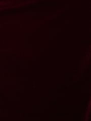 Adrianna Papell Red Velvet One Shoulder Gown - Imagem 3 de 6