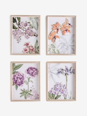 Set of 4 Multi Kew Collection 3D Floral Framed Wall Arts - Image 6 of 7