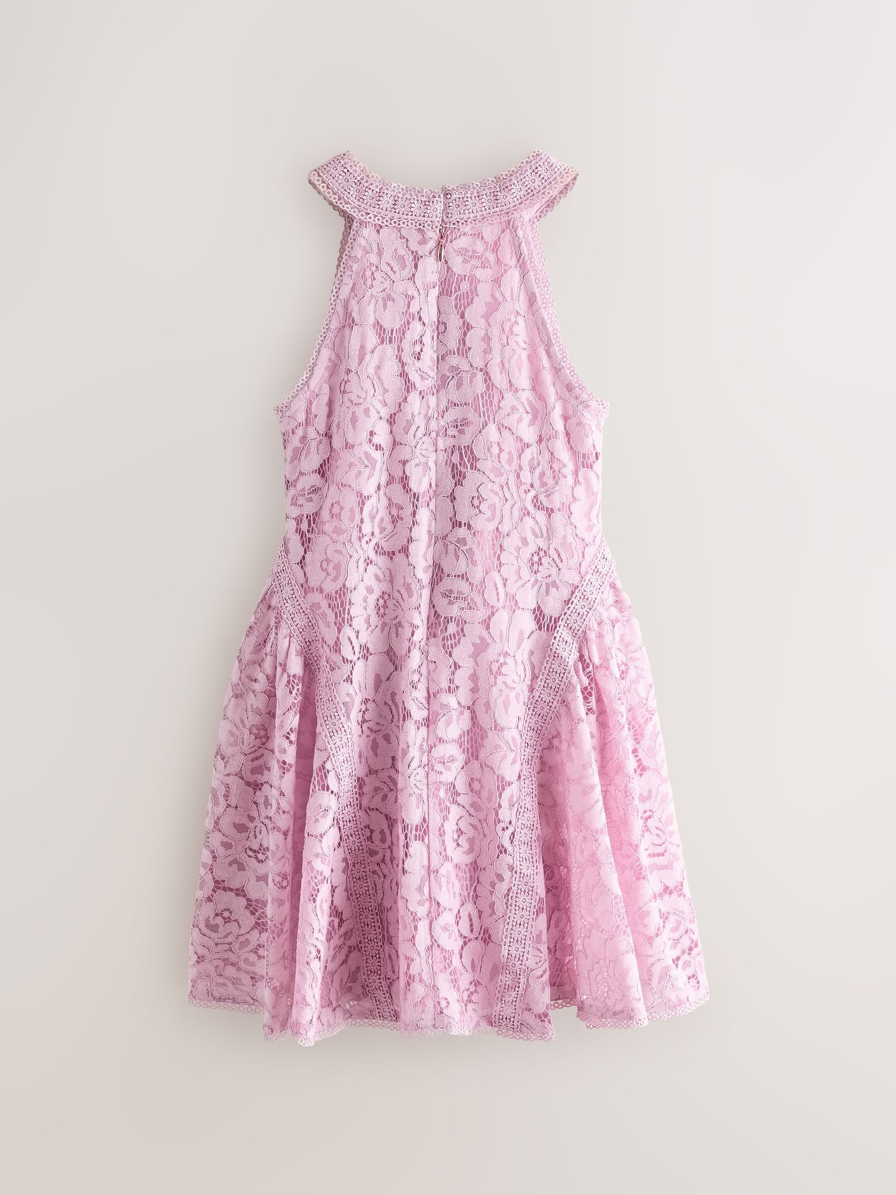 Buy Baker by Ted Baker Dusky Pink Lace Halter Drop Waist Dress