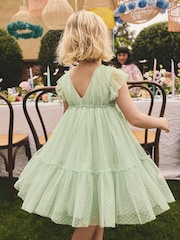Mint Green Mesh Flower Girl Dress (3-16yrs) - Image 3 of 10