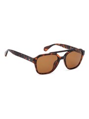 Prive Revaux Brown Navigator Sunglasses in Havana - Image 1 of 4