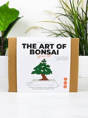 Gift Republic White The Art Of Bonsai Grow Kit - Image 1 of 6