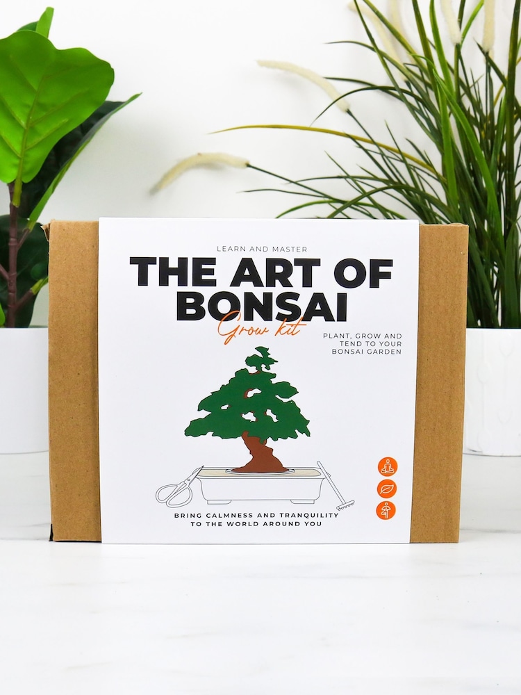 Gift Republic White The Art Of Bonsai Grow Kit - Image 1 of 6