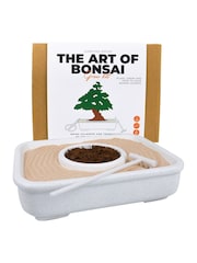 Gift Republic White The Art Of Bonsai Grow Kit - Image 5 of 6