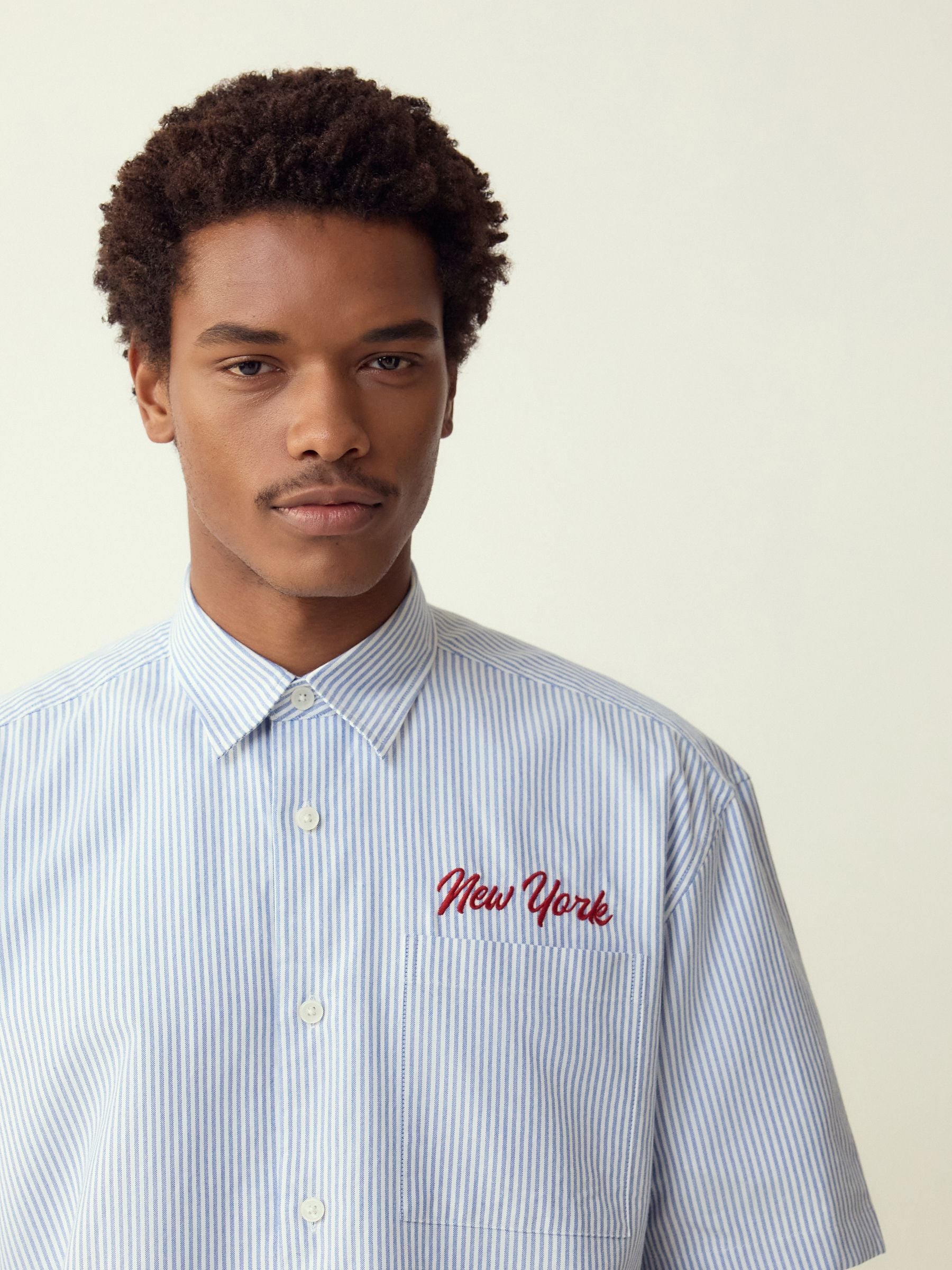 Buy Blue Stripe Embroidered New York Short Sleeve Shirt from Next USA