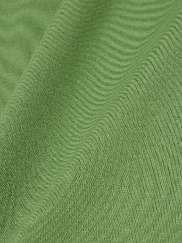Lacoste Green Classic Fit Embroidered Heavy Cotton T-Shirt - Image 4 of 4