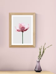 East End Prints Oak Lotus by Sisi and Seb Wall Art - Image 1 of 3