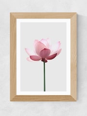 East End Prints Oak Lotus by Sisi and Seb Wall Art - Image 2 of 3