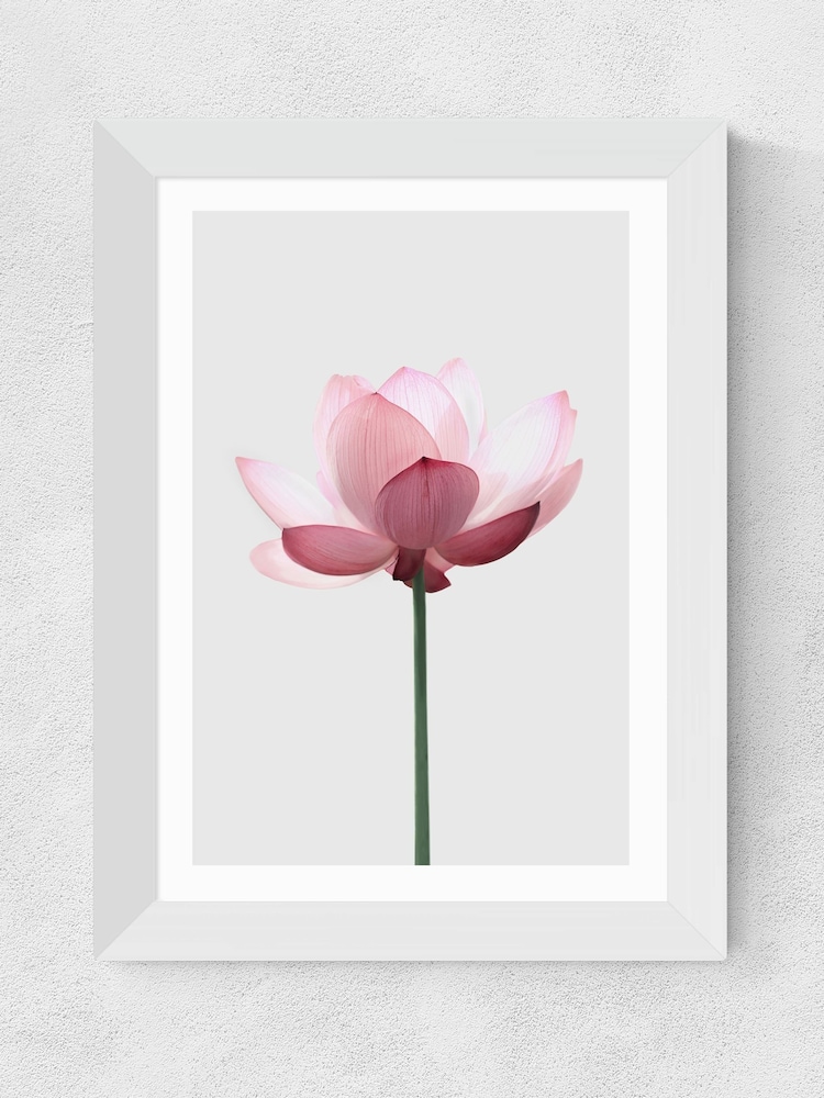 East End Prints White Lotus by Sisi and Seb Wall Art - Image 2 of 3