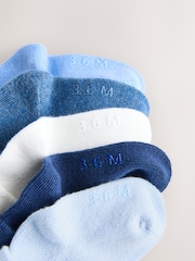 Blue Baby Roll Top Socks 7 Pack (0mths-2yrs) - Image 2 of 3