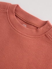 Rust Brown Baby Top and Shorts Set (0mths-2yrs) - Image 9 of 13