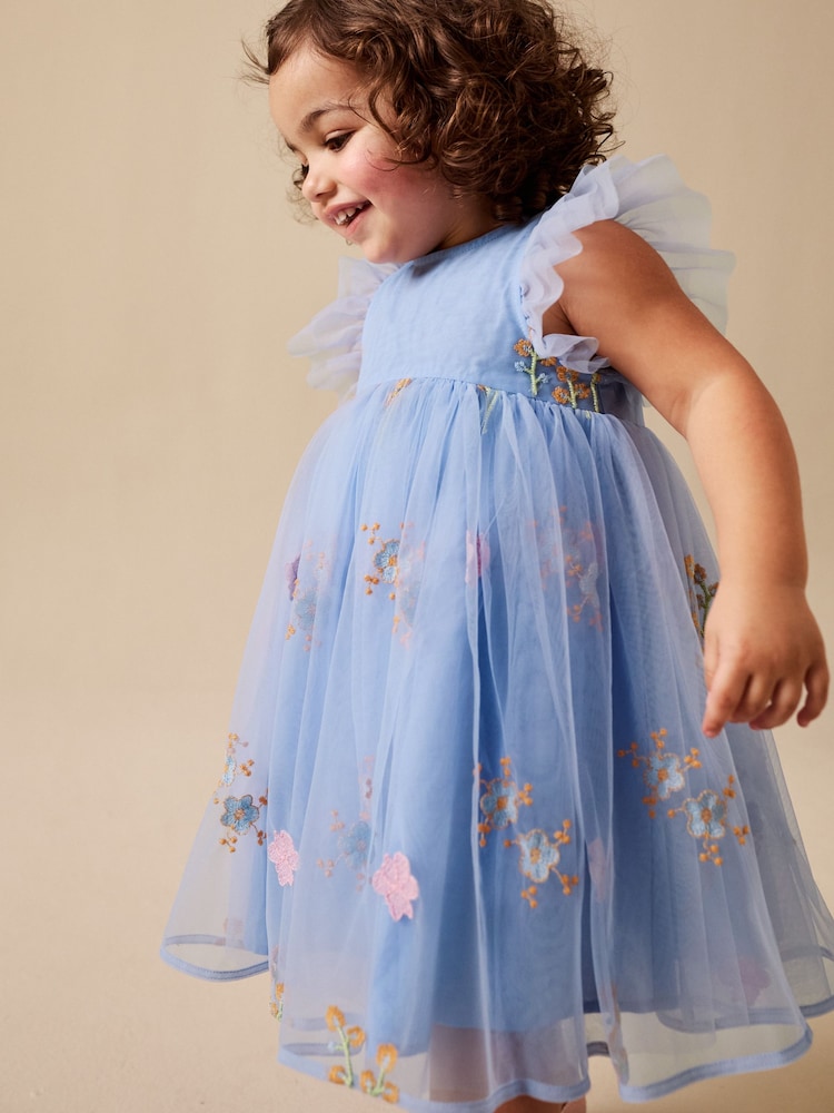 Blue Embroidered Mesh Dress (3mths-7yrs) - Image 1 of 8