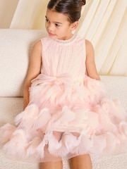 Lipsy 3D Fluffy Ruffle Tutu Occasion Dress (5-16yrs) - تصویر 1 از 5